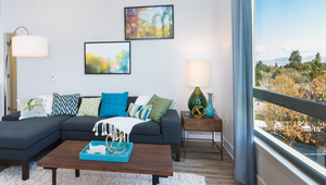 Oversized windows with abundant natural lighting and solar shade window coverings