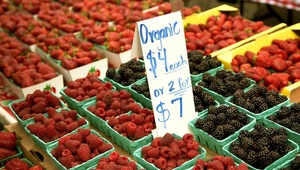 Loft House Apartments Farmers Market