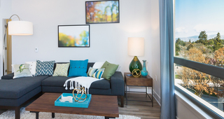 Oversized windows with abundant natural lighting and solar shade window coverings