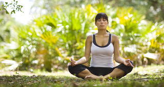 Lushly landscaped open-air courtyards